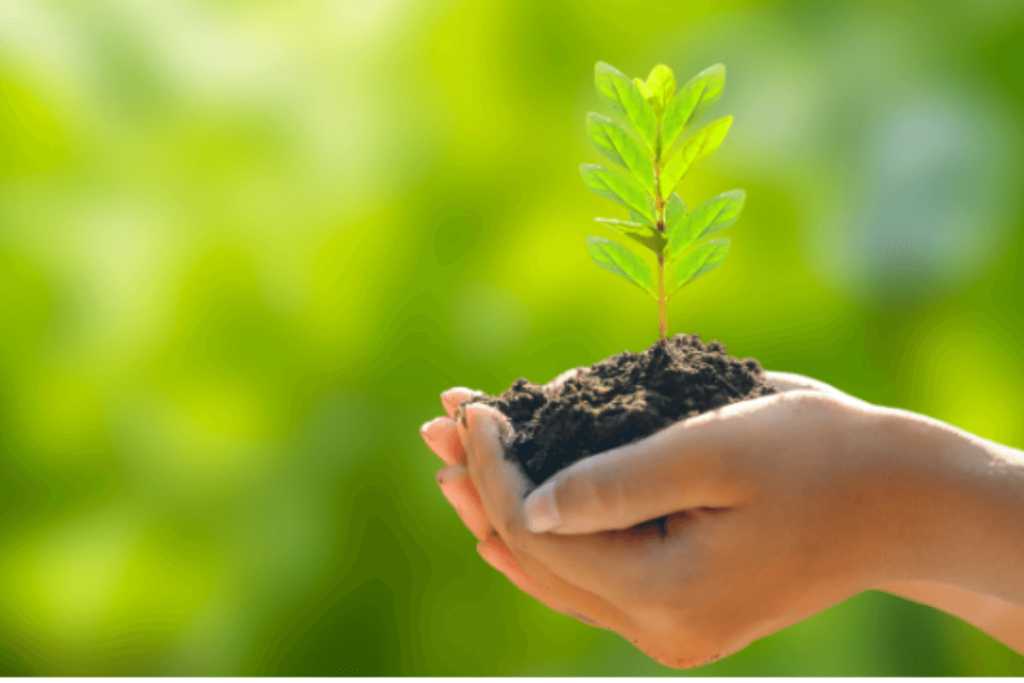 Sustentabilidade na Alimentação: Como Adotar Hábitos que Beneficiam sua Saúde e o Planeta 5 Sustentabilidade na Alimentacao 4 1