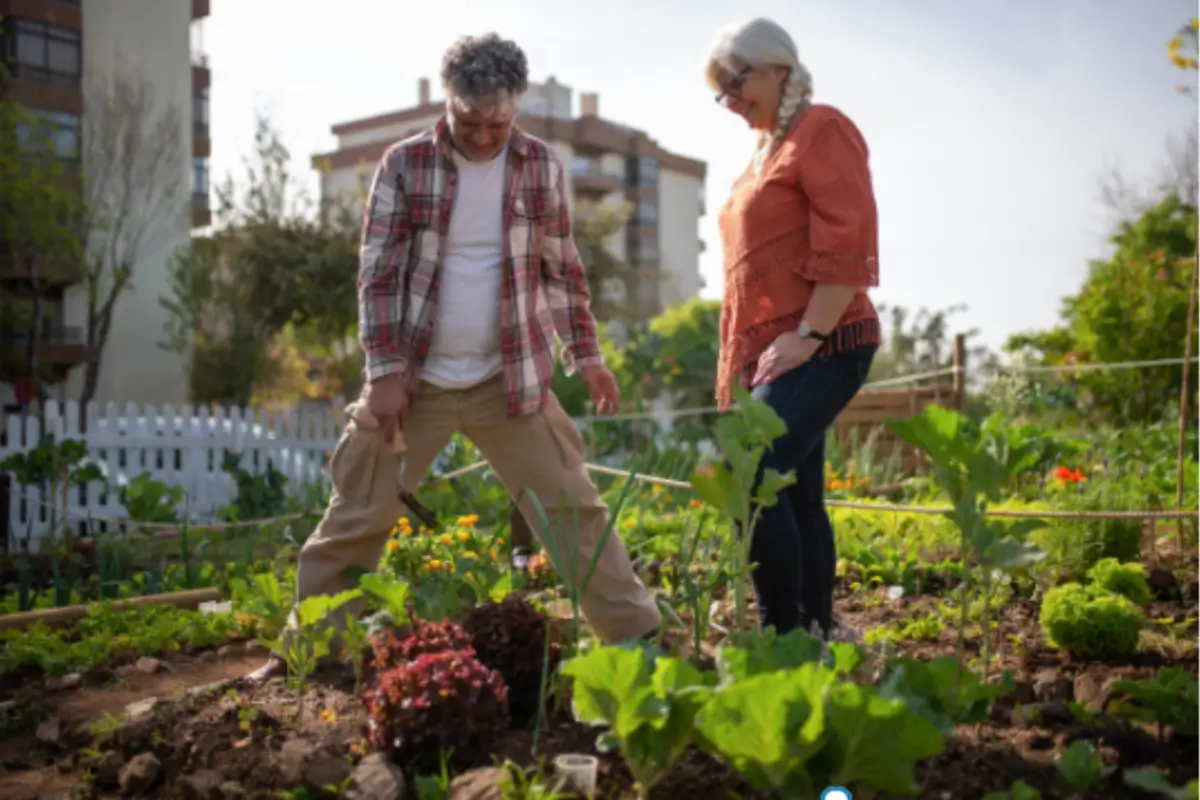 Sustentabilidade na Alimentacao