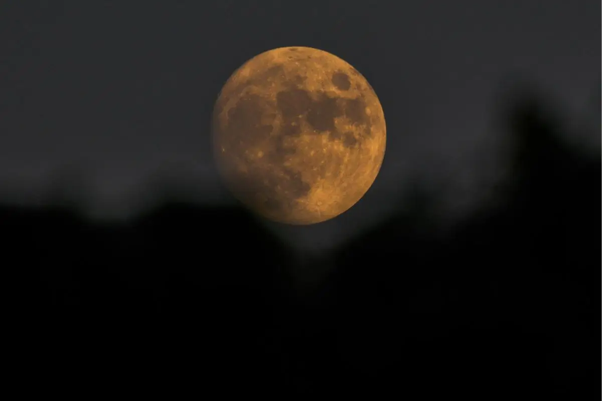 Agricultura Biodinâmica: Sustentabilidade e Conexão com a Natureza 1 biodinamica fases da lua