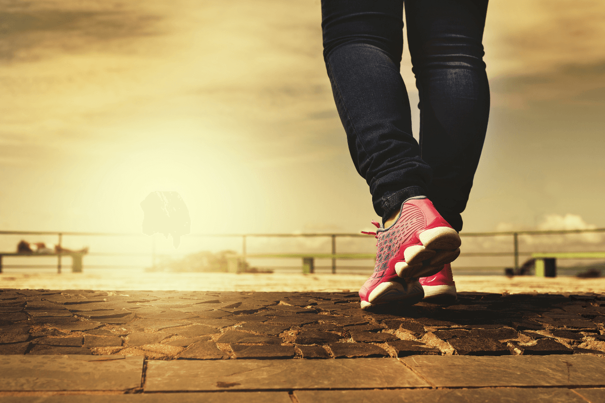 Vida Saudavel exercicios fisicos 1