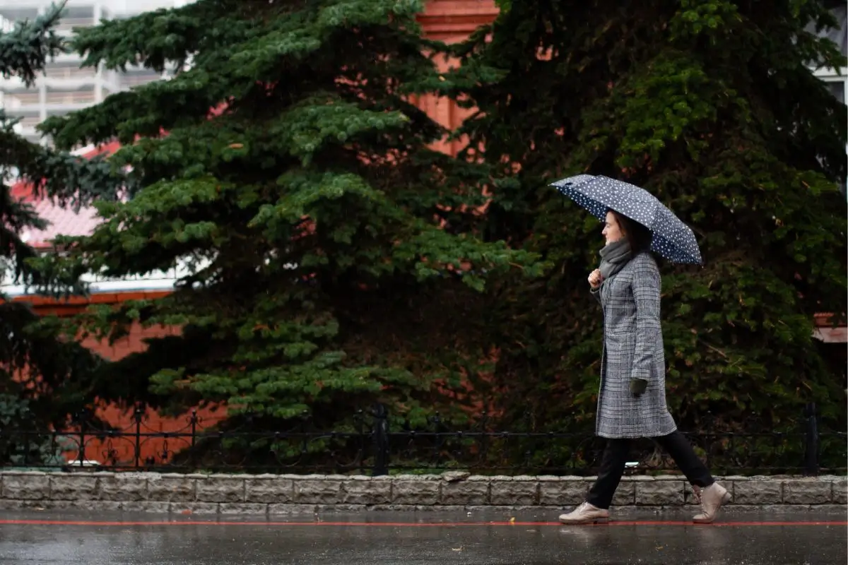 lara caminhando na chuva transformacao pessoal