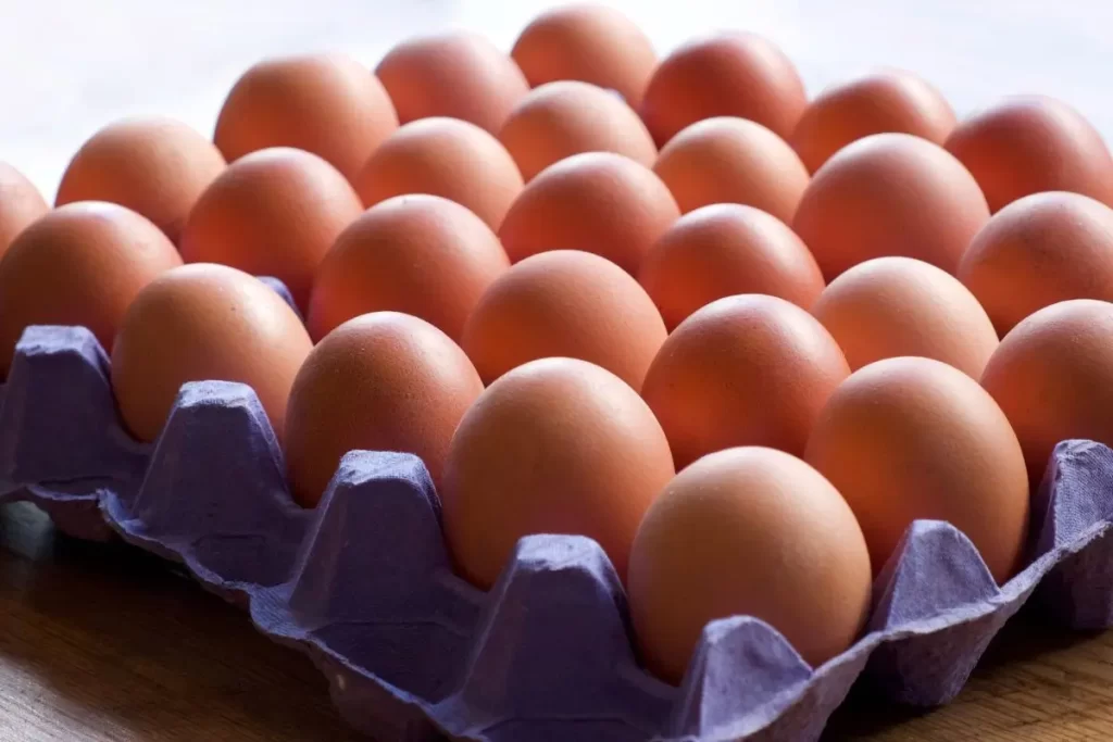 O Verdadeiro Valor do Ovo Vai Muito Além do Preço 4 ovo superalimento bandeja de ovos