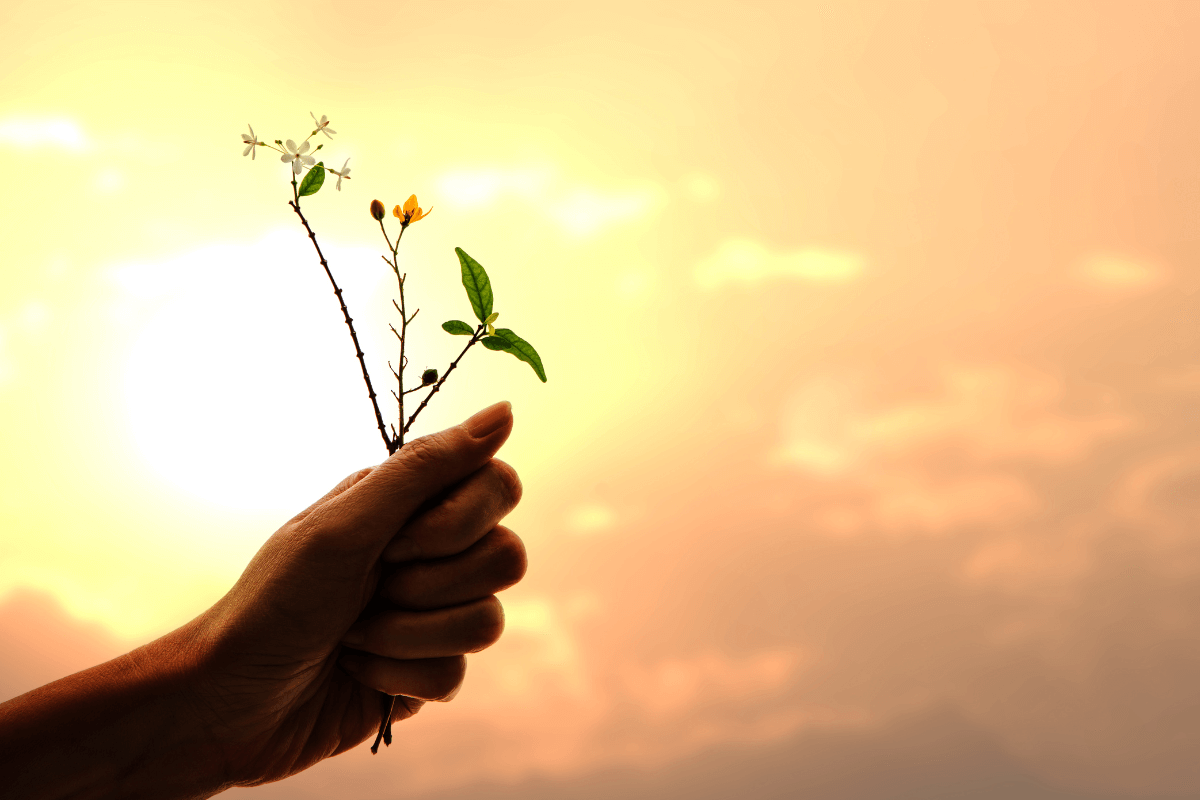 autocuidado para florescer pequenas coisas