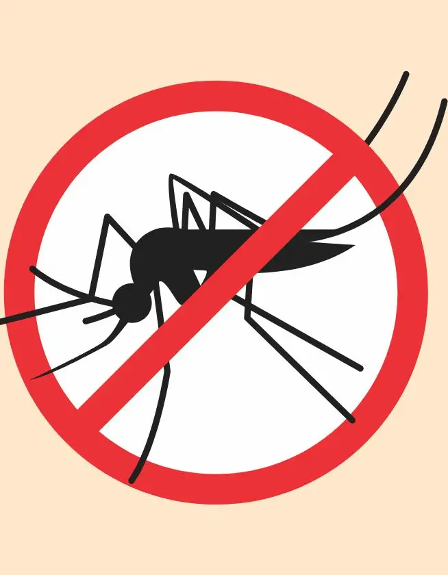 combate a dengue 10 minutos 7