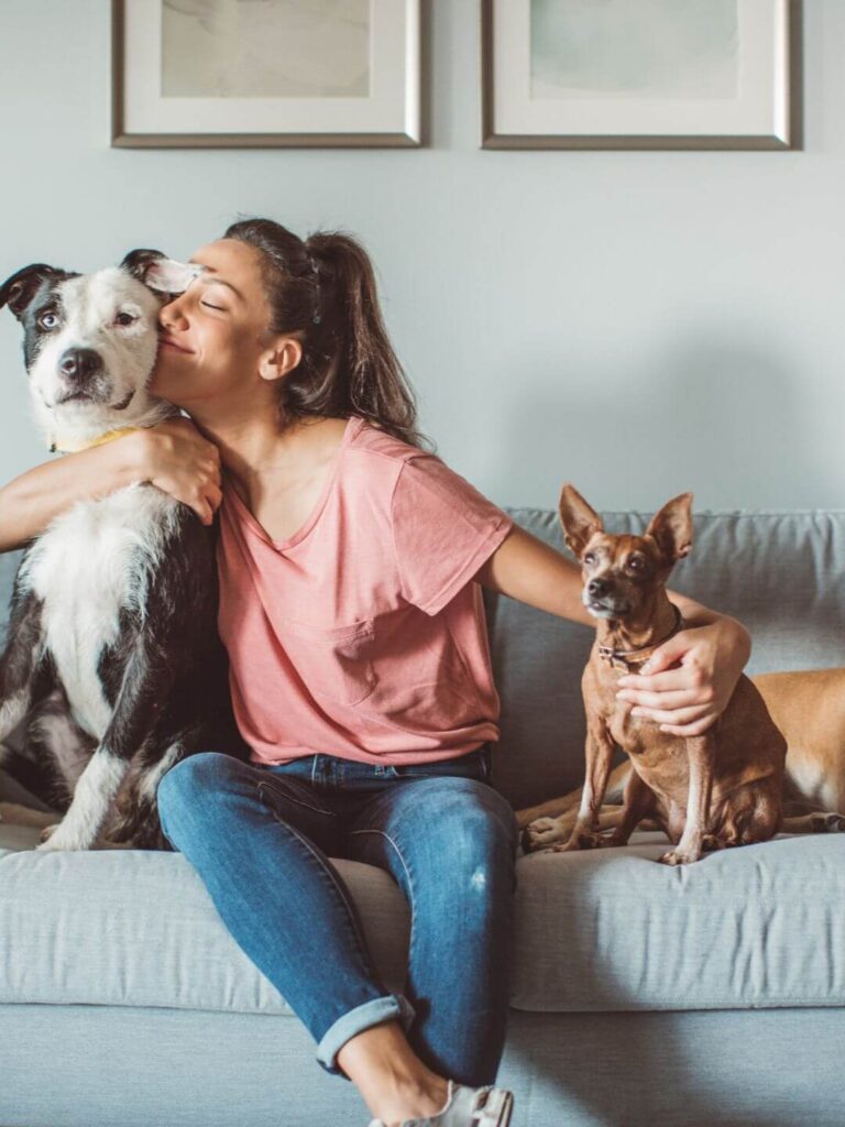 💚 Hábito 2: Presença Real – Conexão que Acalma 2 higiene e pet familai