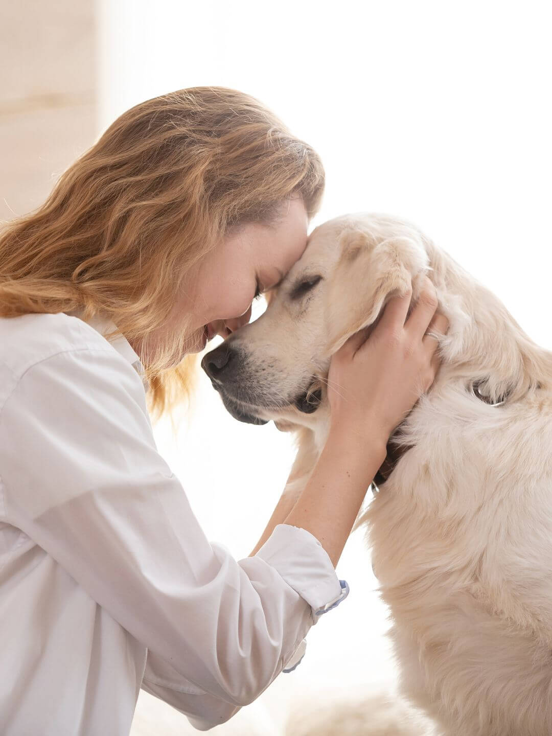 🌟 7 Hábitos Essenciais para um Pet Feliz e Saudável 2 Como pets equilibram nossa vida 2