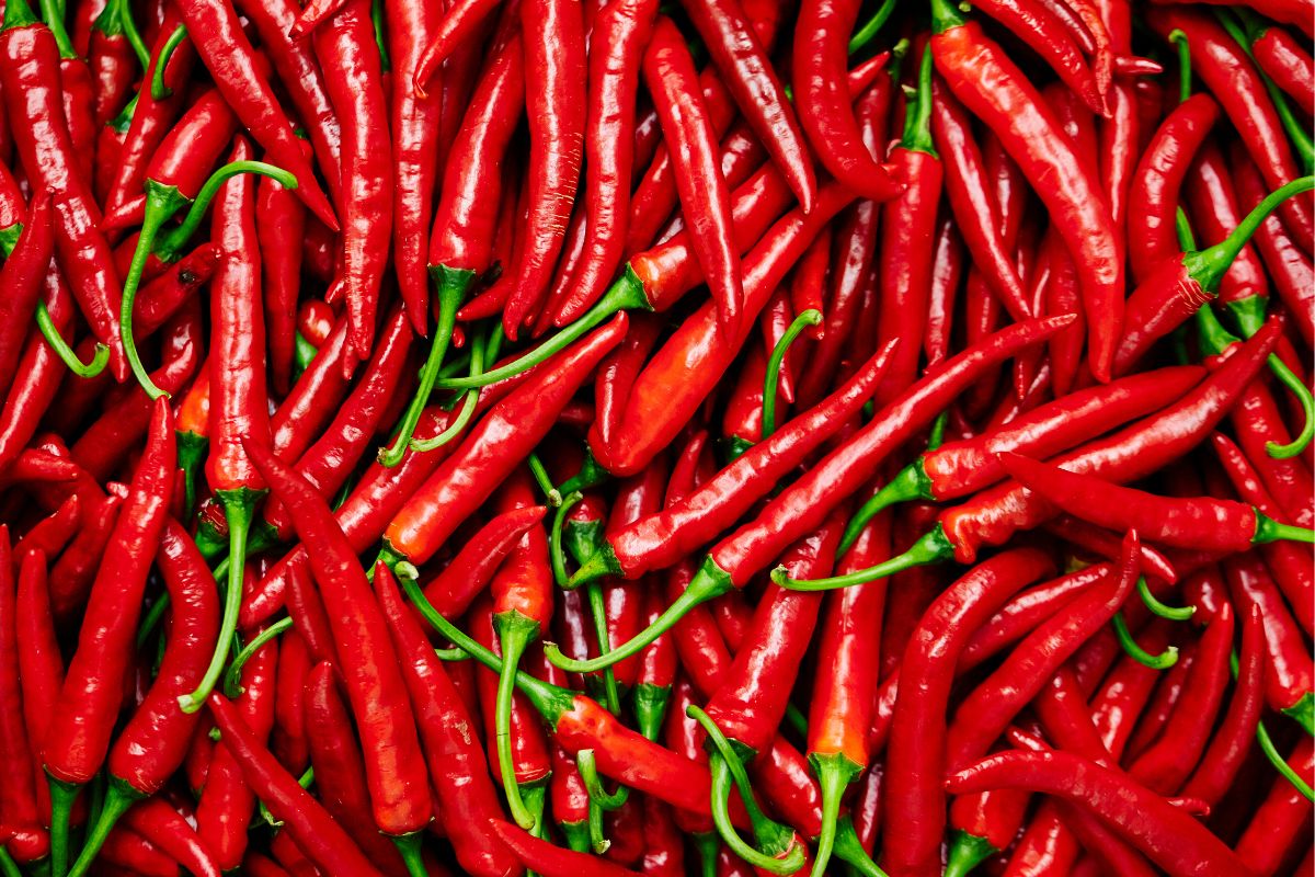 pimentas e bem estar 3