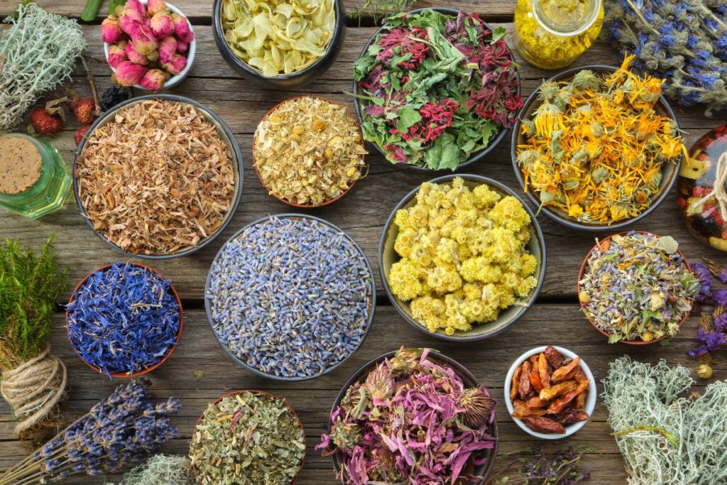 Desvendando o Ayurveda: Uma Jornada Amigável Rumo ao Seu Equilíbrio 2 2 12