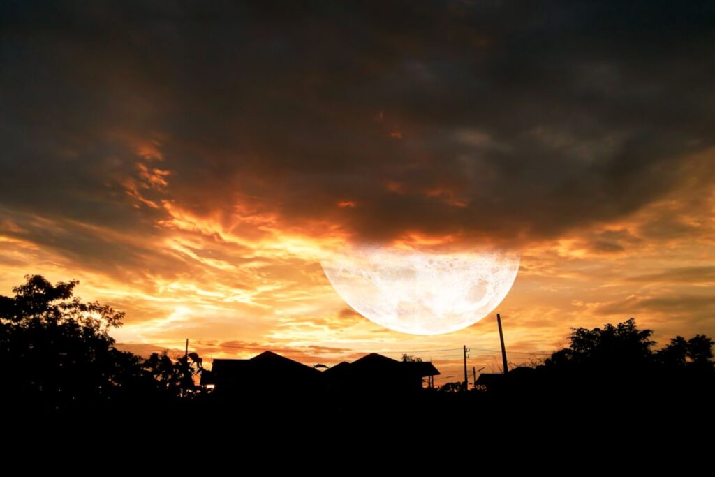 🌑Beleza em Quatro Fases: Rituais Lunares para Corpo, Cabelos e Emoções 2 1 12