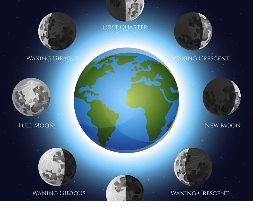 🌙 Cabelos e Fases da Lua: Como Alinhar seus Cuidados Capilares com os Ciclos Lunares 2 2 8